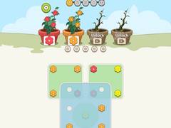 Jogo Flower Collection