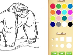 Jogo Zoo Animals Coloring Book for Kids