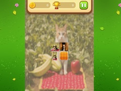 Jogo Farm Cat Memory Match