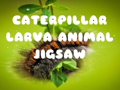 Jogo Caterpillar Larva Animal Jigsaw