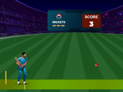 Jogo Cricket Night 2