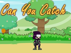 Jogo Can You Catch