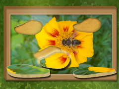 Jogo Find & Restore: Hidden Puzzle