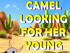 Jogo Camel Looking For Her Young