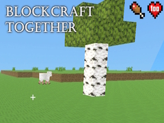 Jogo BlockCraft Together