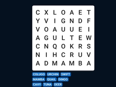 Jogo Word Search Word Puzzle