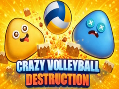 Jogo Crazy Volleyball Destruction