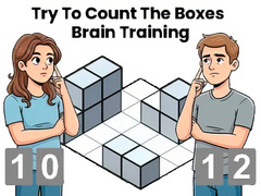 Jogo Try To Count The Boxes Brain Training