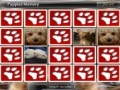 Jogo Puppies Memory