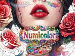 Jogo Numicolor