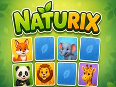 Jogo Naturix