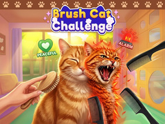 Jogo Brush Cat Challenge 