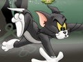 Jogo Tom And Jerry Chase In Marsh