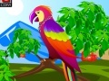 Jogo Decor the Cute Parrot