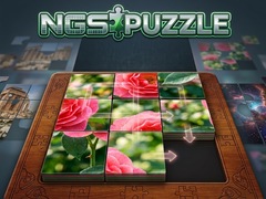 Jogo NGS Puzzle
