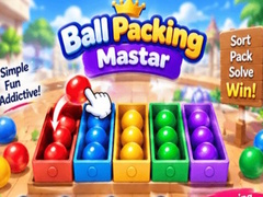 Jogo Packing Master Puzzle