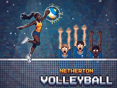 Jogo Netherton Volleyball