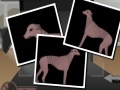 Jogo Greyhound Tycoon