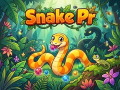 Jogo Snake Pr