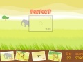 Jogo Coconut's Safari