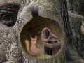 Jogo Forest sounds