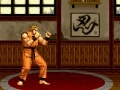 Jogo Art of Fighting