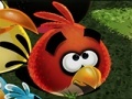 Jogo Angry Birds Save