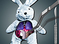 Jogo Save The Bunny