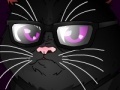 Jogo Grumpy Cat