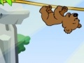 Jogo Jungle brain