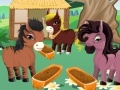 Jogo Princess' Ponies