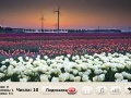 Jogo Windflowers Find Numbers