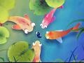 Jogo Beautiful Fishpond