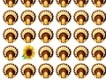 Jogo Thanksgiving Day Matching Game