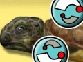 Jogo Turtle Care