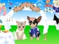 Jogo Pet Wedding Dress up