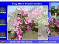 Jogo Bugenvilia Jigsaw