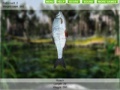 Jogo Lake Fishing 3.0