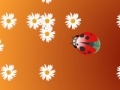 Jogo Ladybug and flower