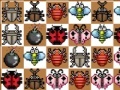 Jogo Match the Bugz