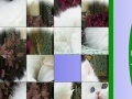 Jogo Sweet White Cat Slide Puzzle