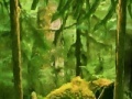 Jogo Escape from the cage of a lion
