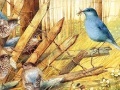 Jogo Art Painting Bird Puzzles