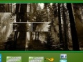 Jogo Puzzle Craze Dark Forest