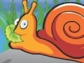 Jogo Hungry Snail