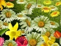 Jogo Nature Flowers Puzzle