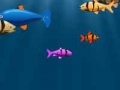 Jogo Franky the fish