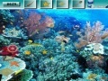 Jogo Underwater World G2R