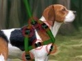 Jogo Beagle training