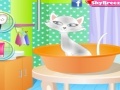 Jogo Caring Cat Owner